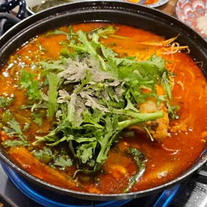 더 씨 대표 사진