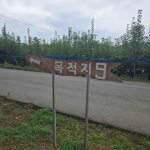 목적지 나인 리뷰 사진