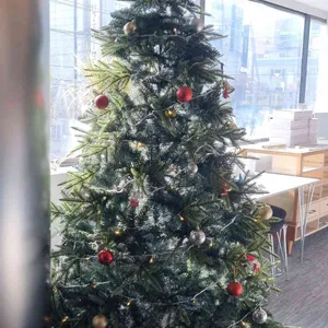 콜프 로스터스 리뷰 사진