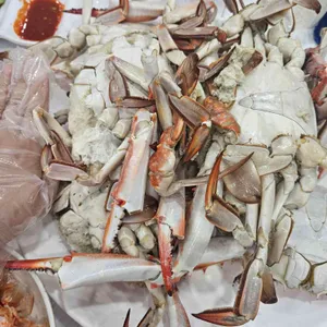 다퍼줘 리뷰 사진