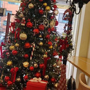 반코디 리뷰 사진