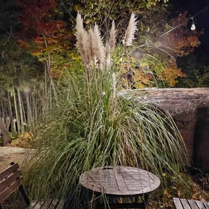 피읖 카페 리뷰 사진