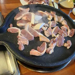 경성멧돼지 사진