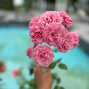 누리다 리뷰 사진