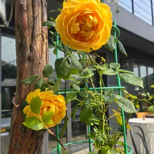 누리다 리뷰 사진