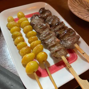 토우진 대표 사진