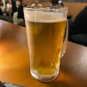 토우진 대표 사진