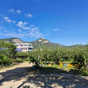 태릉허참갈비 리뷰 사진