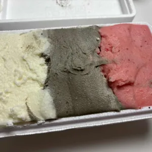 녹기 전에 사진