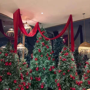 도나스데이 리뷰 사진