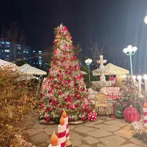 도나스데이 리뷰 사진