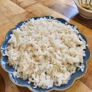 해송칠암붕장어 사진