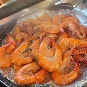 둘리왕새우 사진 1