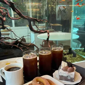 아쿠아모스 대표 사진