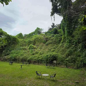 팔숲 리뷰 사진