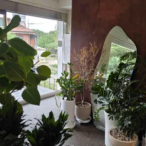 팔숲 리뷰 사진