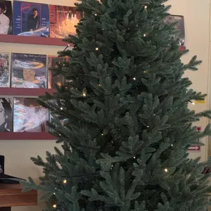 오스테리아 밀즈 리뷰 사진