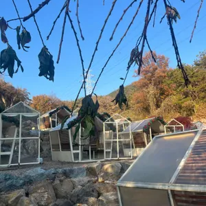 하우스소서 리뷰 사진