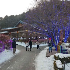 초록상점 리뷰 사진