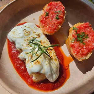 비니투스 대표 사진