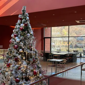 스코그 리뷰 사진