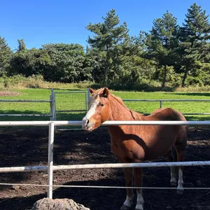 대한목장 대표 사진