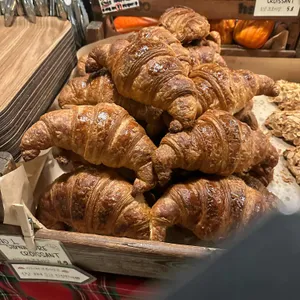 테디뵈르하우스 사진