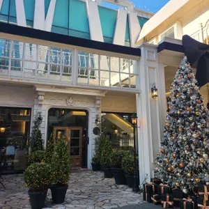 빠니드 엠 무니 리뷰 사진