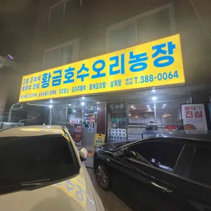 황금호수오리농장 리뷰 사진