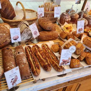 옵스 드마히니 사진