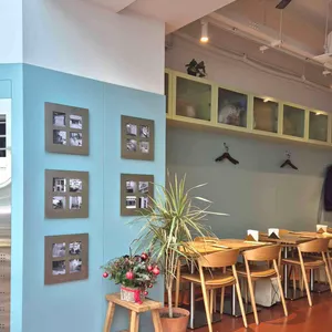 더바오 리뷰 사진