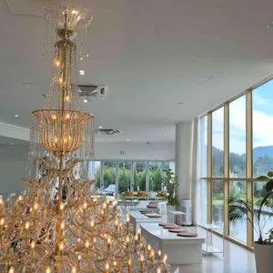 포레포라 리뷰 사진