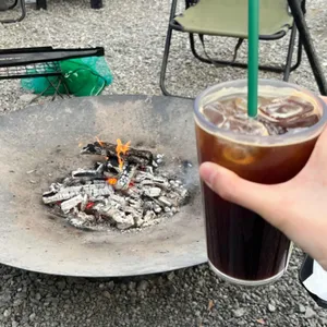 라임그라스 사진 1