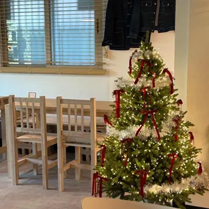 때시 리뷰 사진