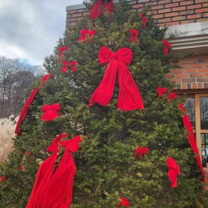 앙떼떼페레 리뷰 사진