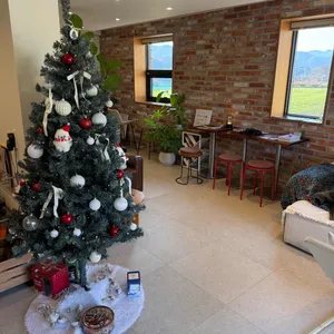 앤쏘온 리뷰 사진