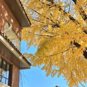 스태픽스 대표 사진