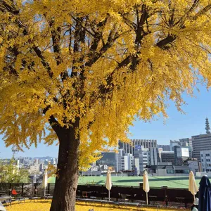 스태픽스 리뷰 사진