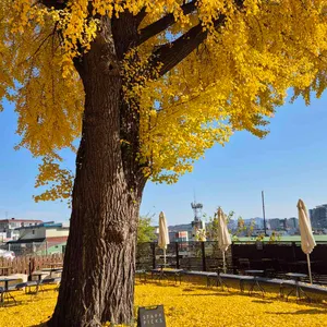 스태픽스 리뷰 사진