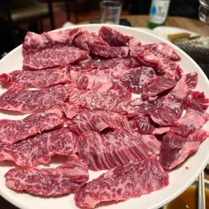 참갈매기&뽈살 사진