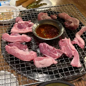 참갈매기&뽈살 사진