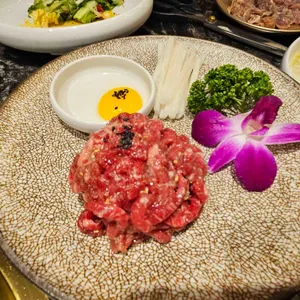 송도갈매기 사진