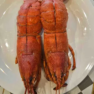 바이킹스워프 사진