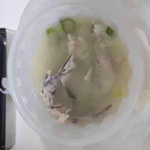 한방대가삼계탕 사진