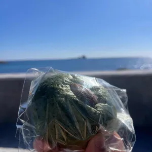 호도제과 리뷰 사진