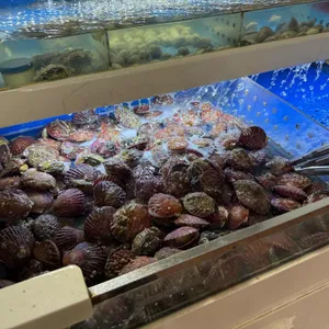 지지네 조개마을 무한리필 사진