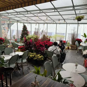 콜린 리뷰 사진