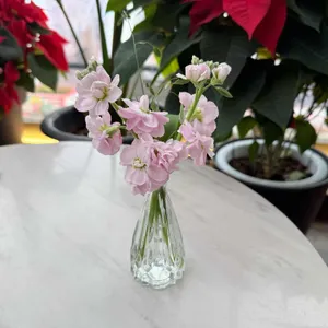 콜린 리뷰 사진