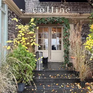 콜린 리뷰 사진