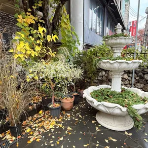 콜린 리뷰 사진